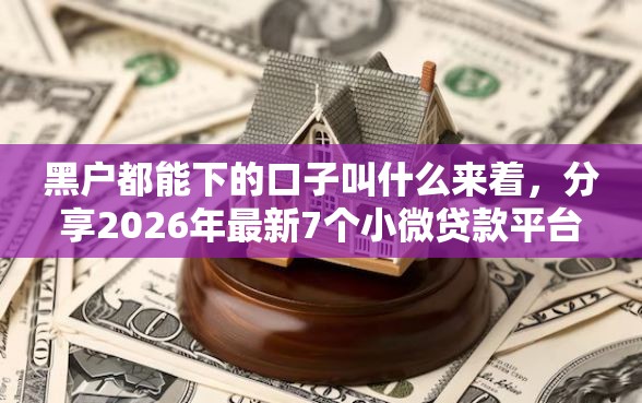 黑户都能下的口子叫什么来着,分享2026年最新7个小微贷款平台 黑户都能下的口子叫什么来着,分享2026年最新7个小微贷款平台