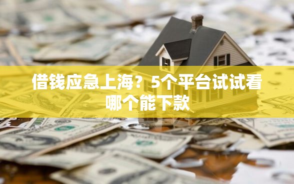借钱应急上海？5个平台试试看哪个能下款