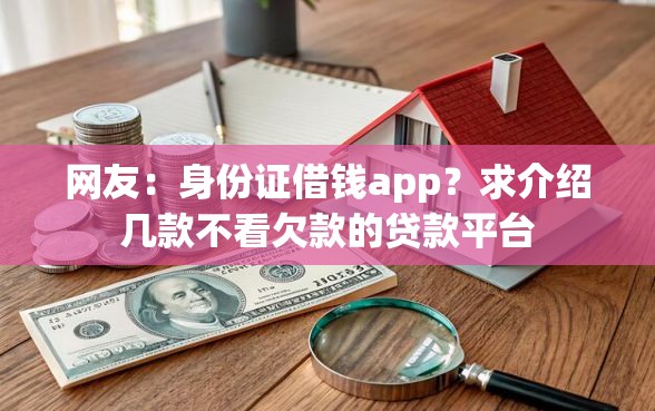 网友：身份证借钱app？求介绍几款不看欠款的贷款平台