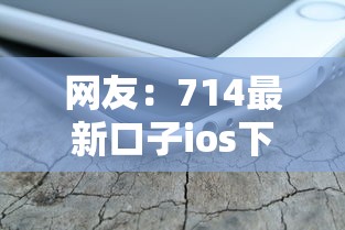 网友：714最新口子ios下载？求介绍几款急用小钱不求征信流水轻松贷的平台