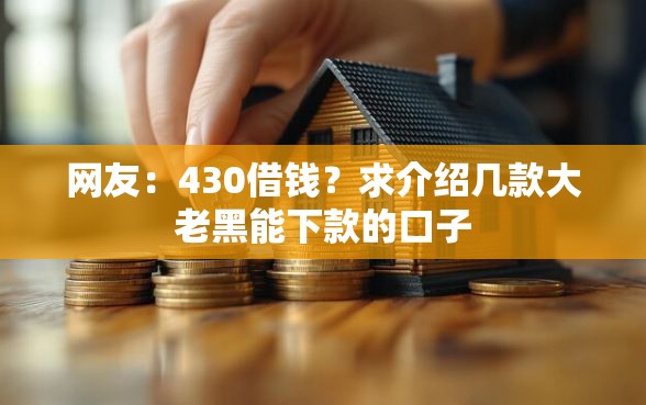 网友：430借钱？求介绍几款大老黑能下款的口子