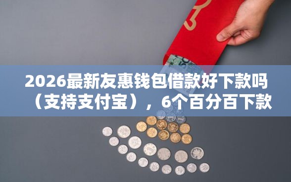 2026最新友惠钱包借款好下款吗（支持支付宝），6个百分百下款无视黑白户网贷无私分享
