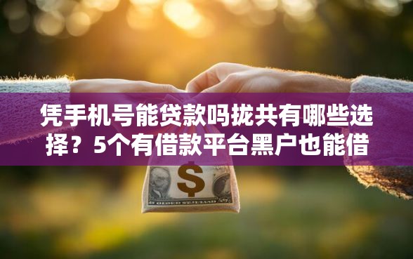 凭手机号能贷款吗拢共有哪些选择？5个有借款平台黑户也能借详解