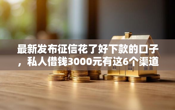 最新发布征信花了好下款的口子，私人借钱3000元有这6个渠道