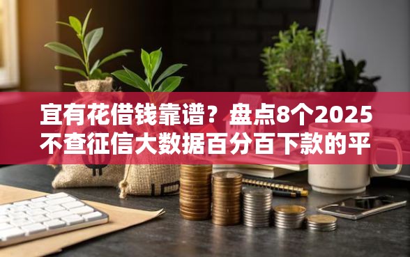 宜有花借钱靠谱？盘点8个2025不查征信大数据百分百下款的平台给你参考