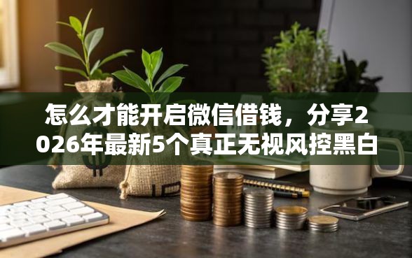 怎么才能开启微信借钱，分享2026年最新5个真正无视风控黑白的网贷口子