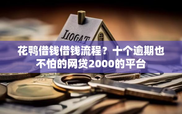 花鸭借钱借钱流程？十个逾期也不怕的网贷2000的平台