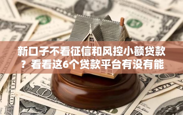 新口子不看征信和风控小额贷款?看看这6个贷款平台有没有能下款的 新口子不看征信和风控小额贷款?看看这6个贷款平台有没有能下款的