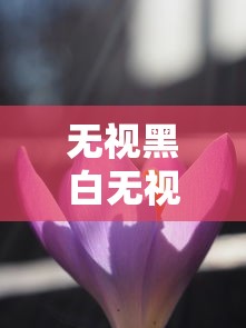 无视黑白无视网花有哪些？分享9个花户必下的平台100%通过率