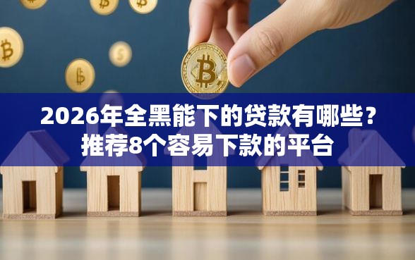 2026年全黑能下的贷款有哪些？推荐8个容易下款的平台