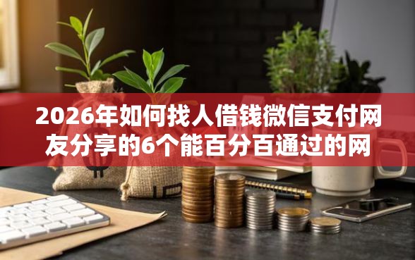 2026年如何找人借钱微信支付网友分享的6个能百分百通过的网贷口子我觉得不错！