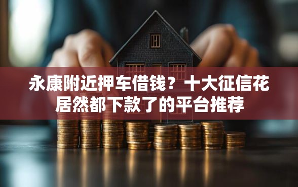 永康附近押车借钱？十大征信花居然都下款了的平台推荐