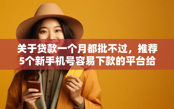 关于贷款一个月都批不过，推荐5个新手机号容易下款的平台给你