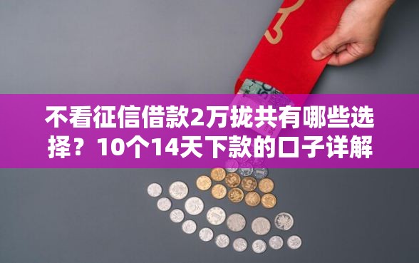 不看征信借款2万拢共有哪些选择?10个14天下款的口子详解 不看征信借款2万拢共有哪些选择?10个14天下款的口子详解