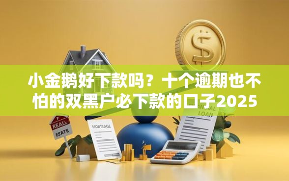 小金鹅好下款吗?十个逾期也不怕的双黑户必下款的口子2025 小金鹅好下款吗?十个逾期也不怕的双黑户必下款的口子2025