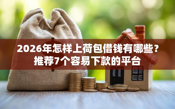2026年怎样上荷包借钱有哪些？推荐7个容易下款的平台