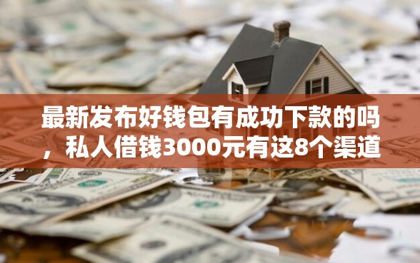 最新发布好钱包有成功下款的吗，私人借钱3000元有这8个渠道