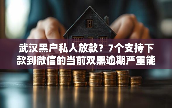 武汉黑户私人放款？7个支持下款到微信的当前双黑逾期严重能下款的平台