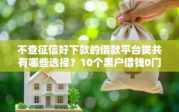 不查征信好下款的借款平台拢共有哪些选择？10个黑户借钱0门槛极速下款软件详解