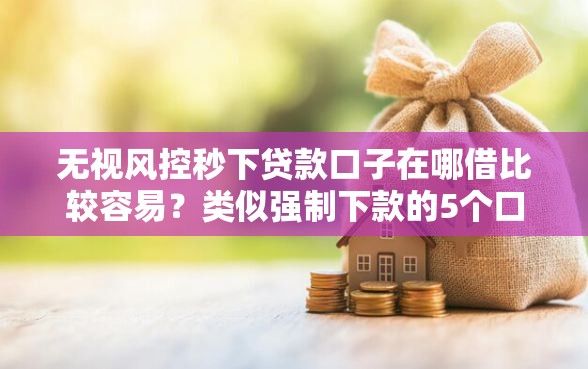 无视风控秒下贷款口子在哪借比较容易？类似强制下款的5个口子参考