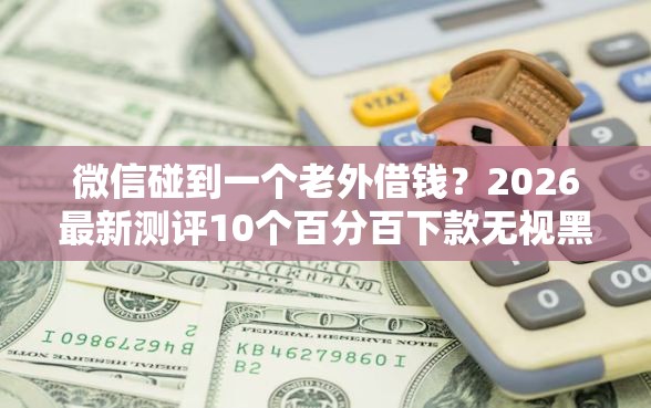微信碰到一个老外借钱？2026最新测评10个百分百下款无视黑白户口子