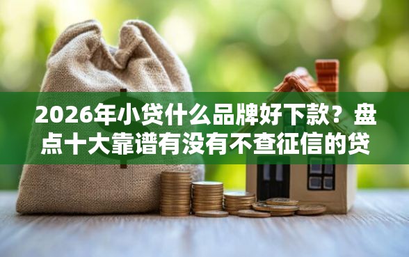 2026年小贷什么品牌好下款？盘点十大靠谱有没有不查征信的贷款平台