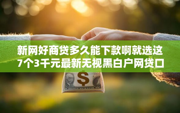 新网好商贷多久能下款啊就选这7个3千元最新无视黑白户网贷口子