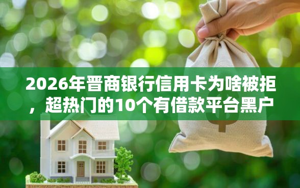 2026年晋商银行信用卡为啥被拒，超热门的10个有借款平台黑户也能借推荐