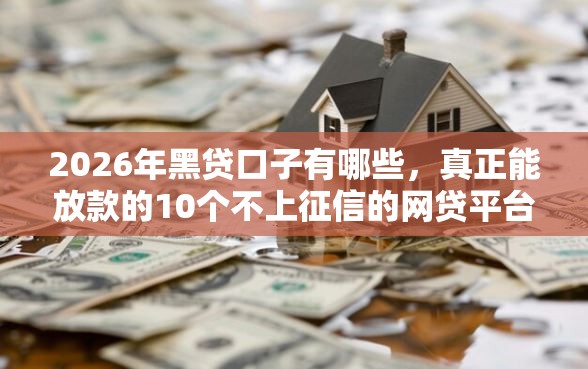 2026年黑贷口子有哪些，真正能放款的10个不上征信的网贷平台推荐