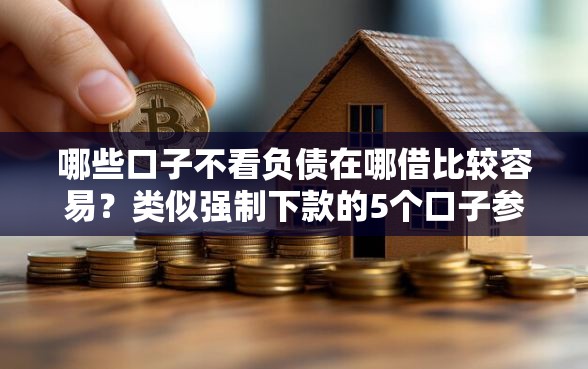 哪些口子不看负债在哪借比较容易？类似强制下款的5个口子参考