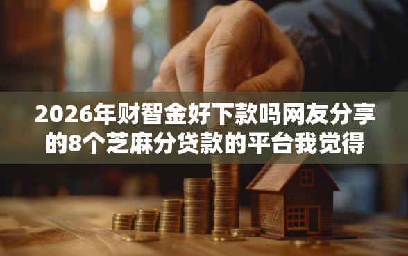 2026年财智金好下款吗网友分享的8个芝麻分贷款的平台我觉得不错！