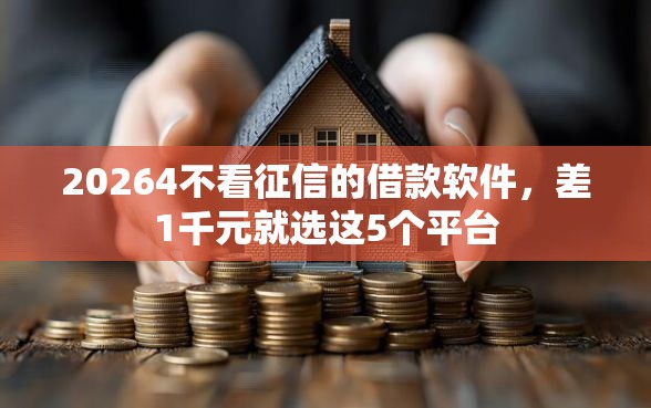 20264不看征信的借款软件，差1千元就选这5个平台