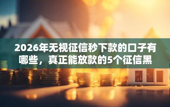 2026年无视征信秒下款的口子有哪些，真正能放款的5个征信黑户到平台可以借到钱推荐