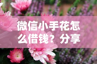 微信小手花怎么借钱？分享6个类似高炮口子的平台