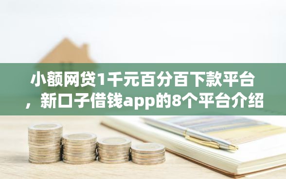 小额网贷1千元百分百下款平台，新口子借钱app的8个平台介绍