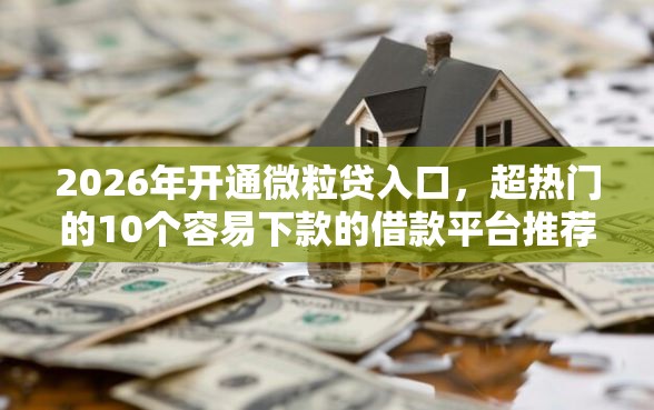 2026年开通微粒贷入口，超热门的10个容易下款的借款平台推荐