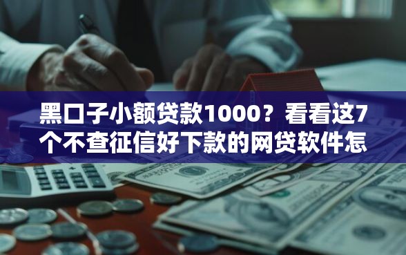 黑口子小额贷款1000？看看这7个不查征信好下款的网贷软件怎么样