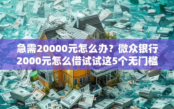 急需20000元怎么办？微众银行2000元怎么借试试这5个无门槛平台
