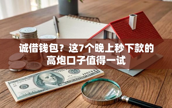 诚借钱包？这7个晚上秒下款的高炮口子值得一试