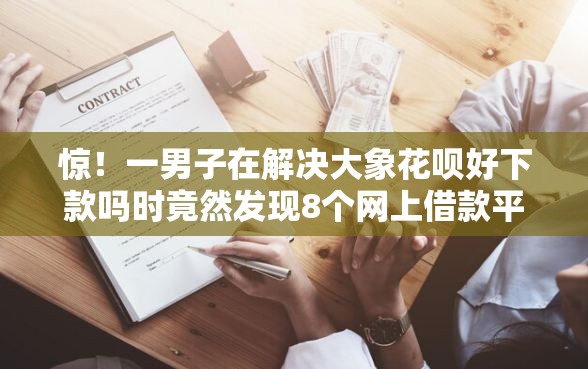 惊！一男子在解决大象花呗好下款吗时竟然发现8个网上借款平台借钱靠谱，事后分享了出来