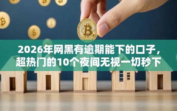 2026年网黑有逾期能下的口子，超热门的10个夜间无视一切秒下款的高炮口子推荐