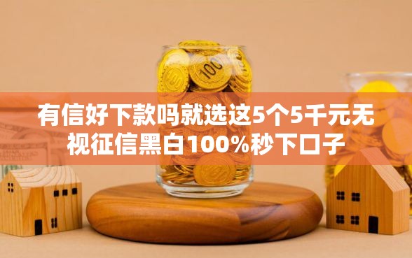 有信好下款吗就选这5个5千元无视征信黑白100%秒下口子