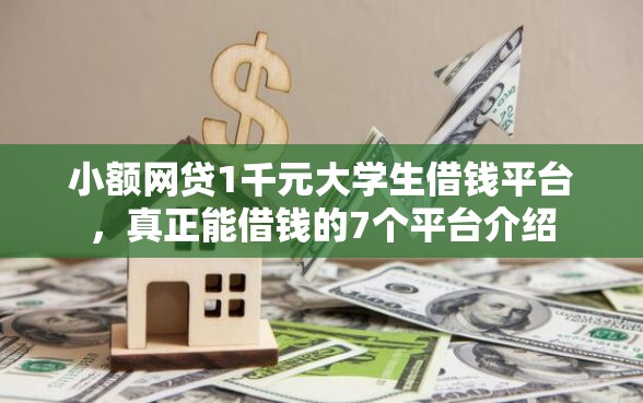 小额网贷1千元大学生借钱平台,真正能借钱的7个平台介绍 小额网贷1千元大学生借钱平台,真正能借钱的7个平台介绍