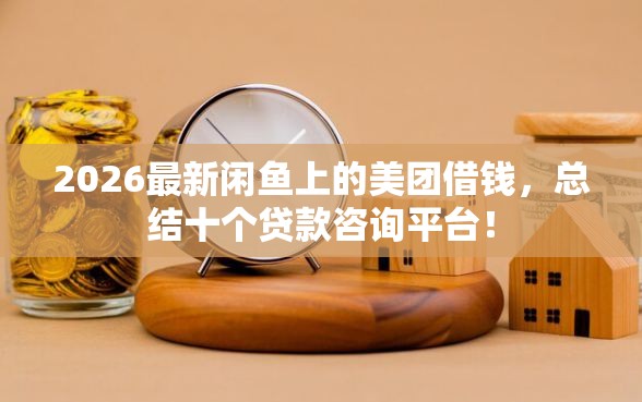 2026最新闲鱼上的美团借钱，总结十个贷款咨询平台！