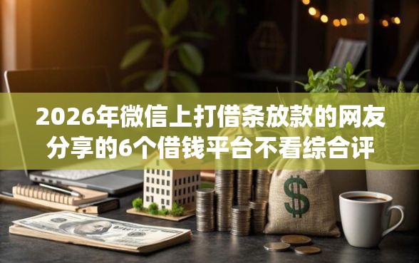 2026年微信上打借条放款的网友分享的6个借钱平台不看综合评估的app我觉得不错！