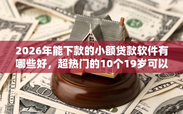 2026年能下款的小额贷款软件有哪些好,超热门的10个19岁可以贷款的平台推荐 2026年能下款的小额贷款软件有哪些好,超热门的10个19岁可以贷款的平台推荐