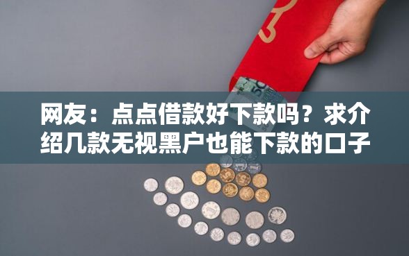 网友：点点借款好下款吗？求介绍几款无视黑户也能下款的口子