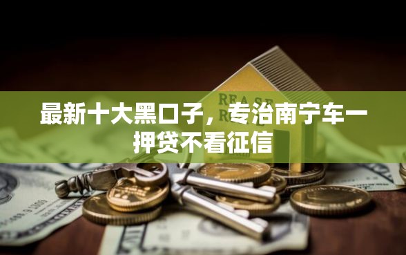 最新十大黑口子，专治南宁车一押贷不看征信