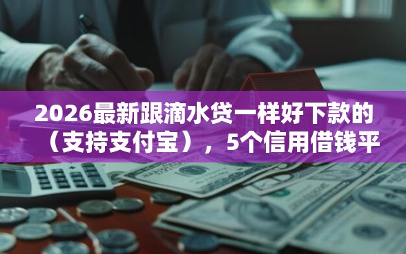2026最新跟滴水贷一样好下款的（支持支付宝），5个信用借钱平台无私分享