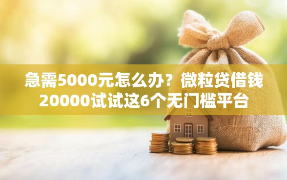 急需5000元怎么办？微粒贷借钱20000试试这6个无门槛平台